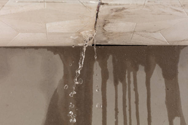 Professional Water Damage Inspection technician working in Plattsburg, MO